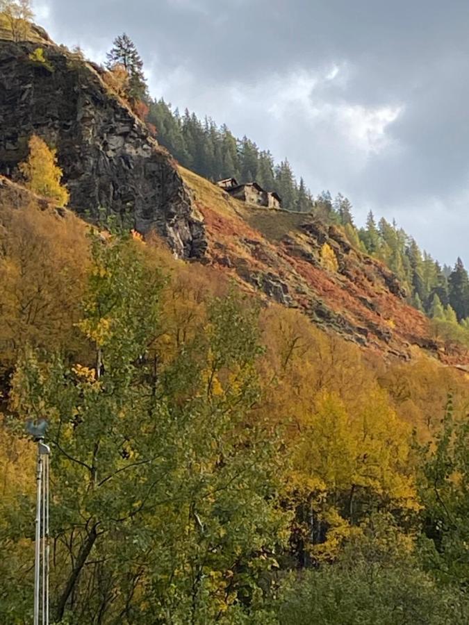 Baita Valtellina. Relax Nel Cuore Delle Alpi กรอซิโอ ภายนอก รูปภาพ